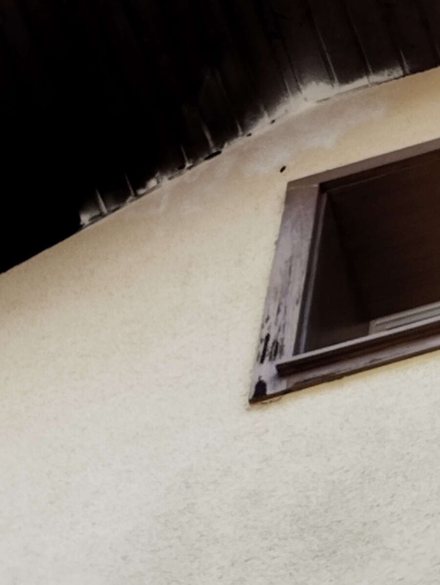 ruche abeille maison que faire