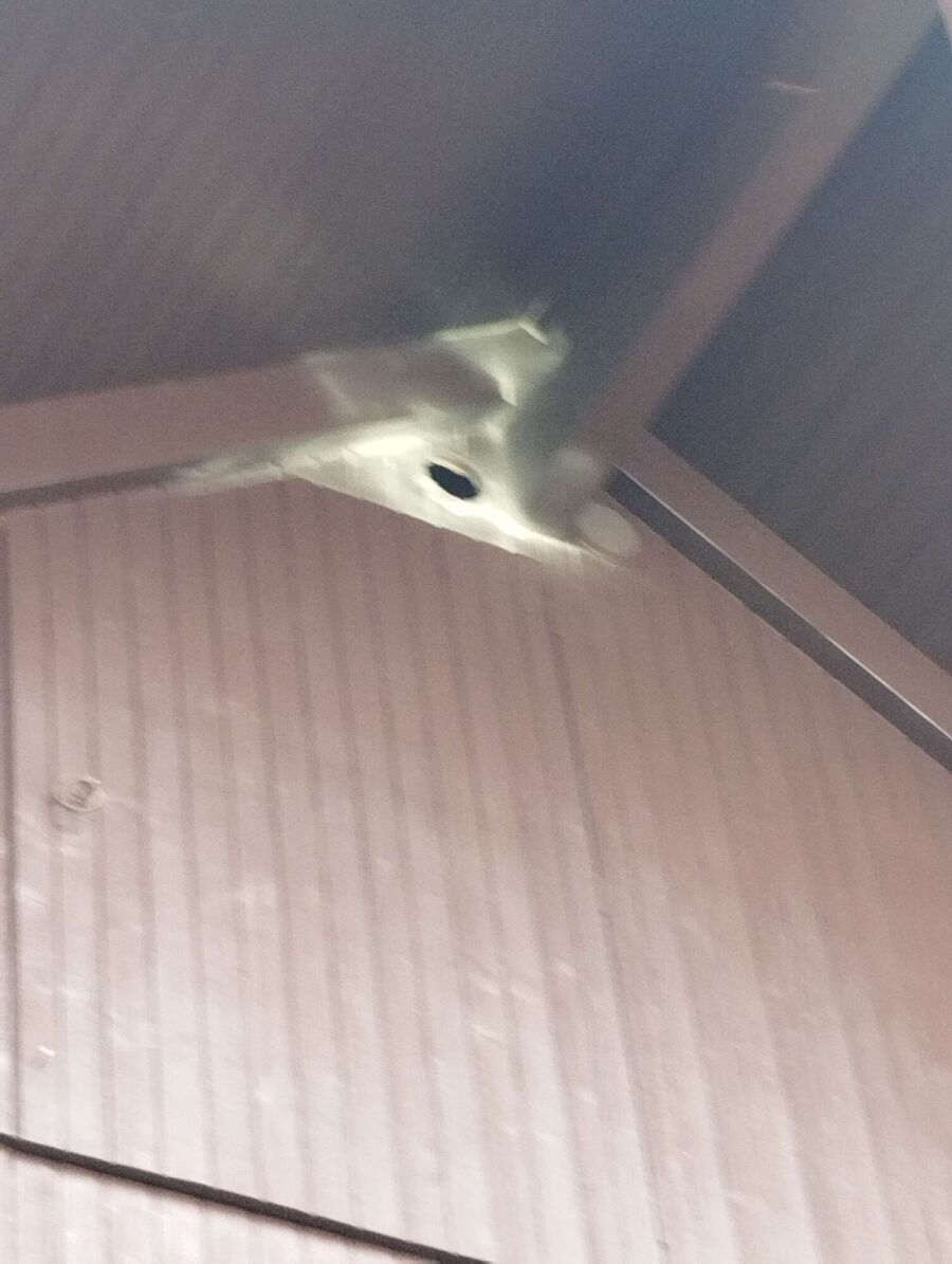 nid d abeille que faire