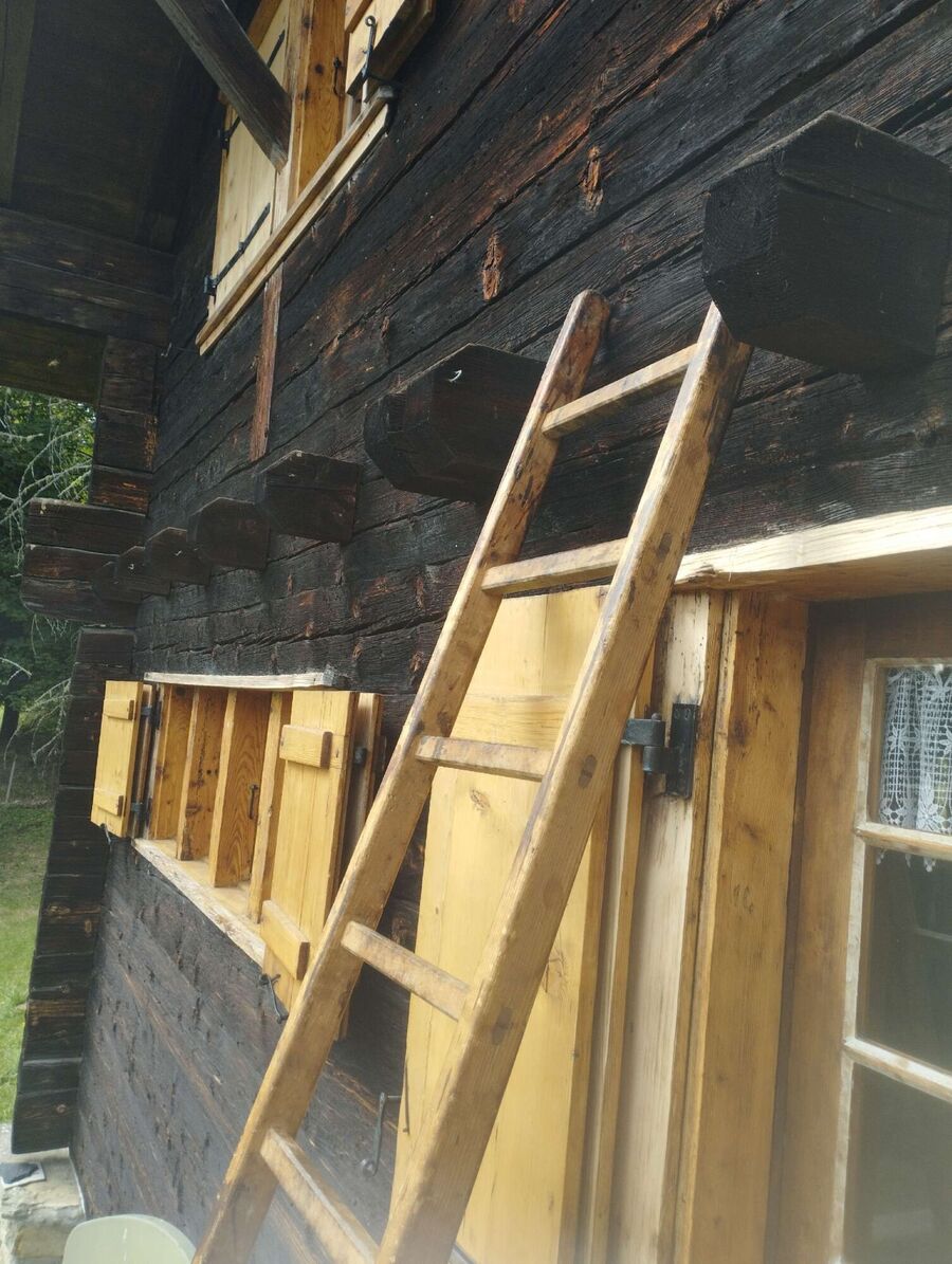 enlever un nid d abeille