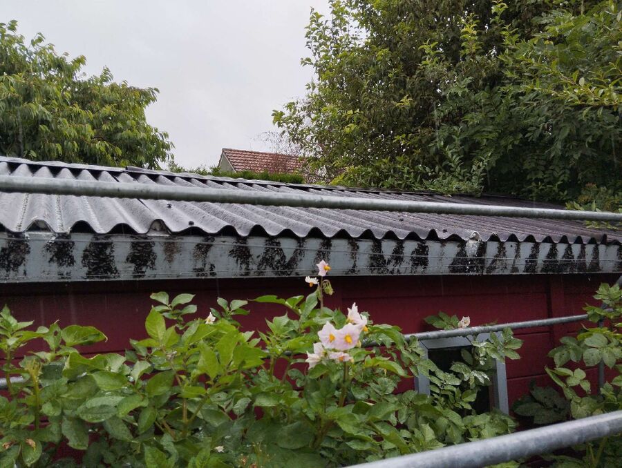 enlever un nid d abeille