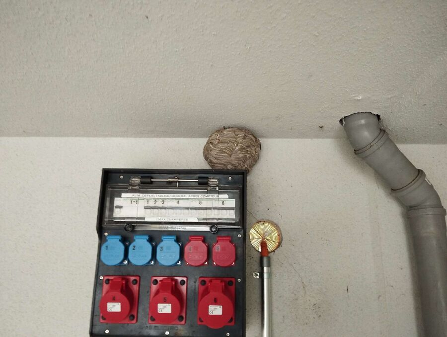 enlever un nid d abeille