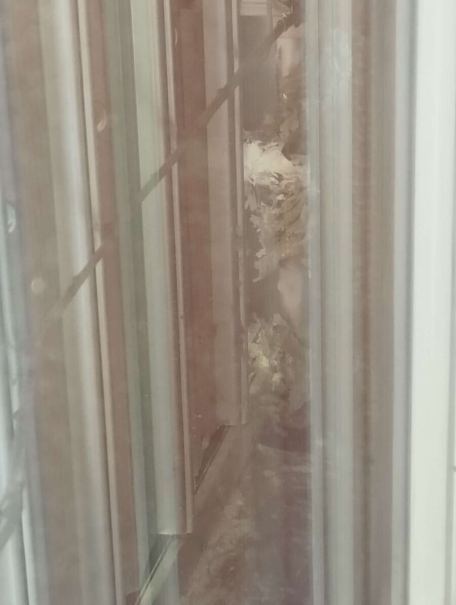 essaim d abeille enlevement