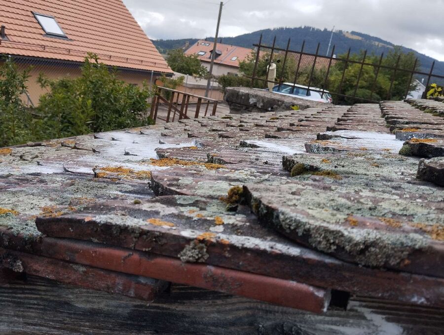 essaim d abeille enlevement