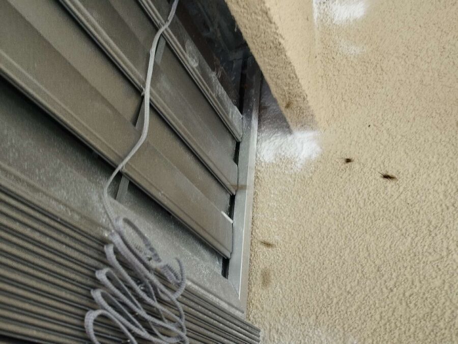 essaim d abeille enlevement