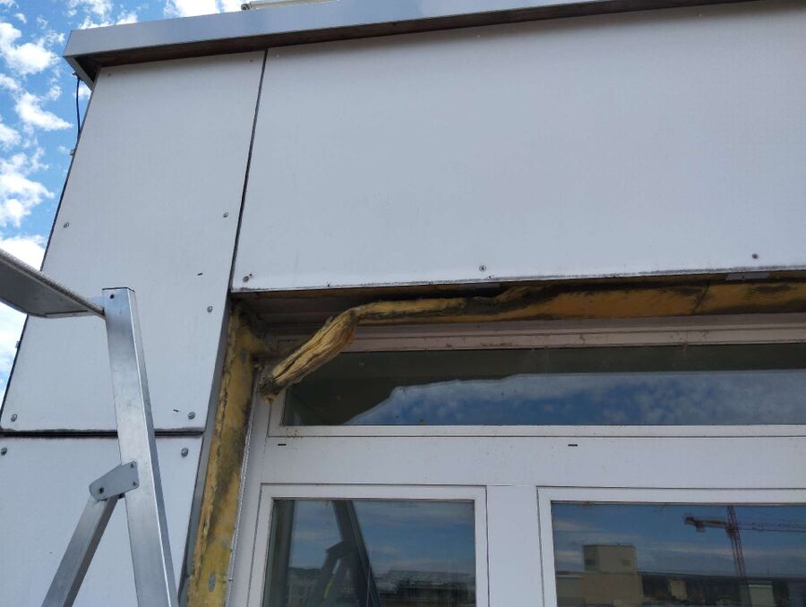 ruche abeille maison que faire