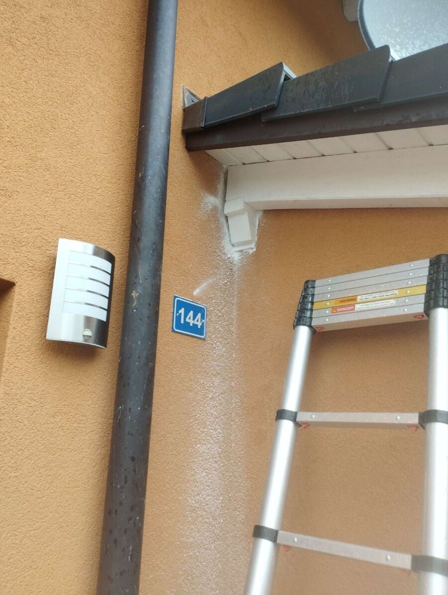 essaim d abeille enlevement