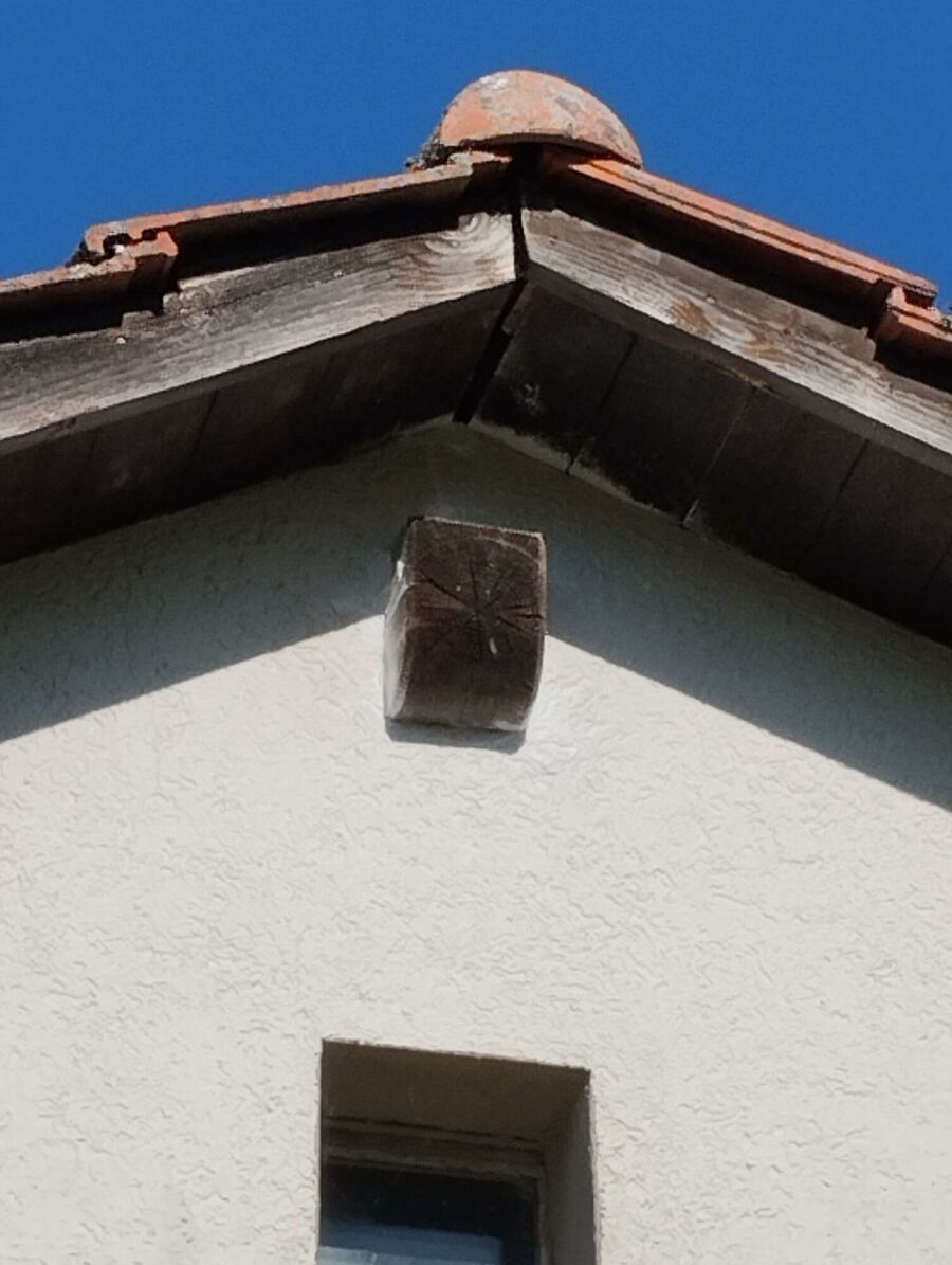 ruche abeille maison que faire