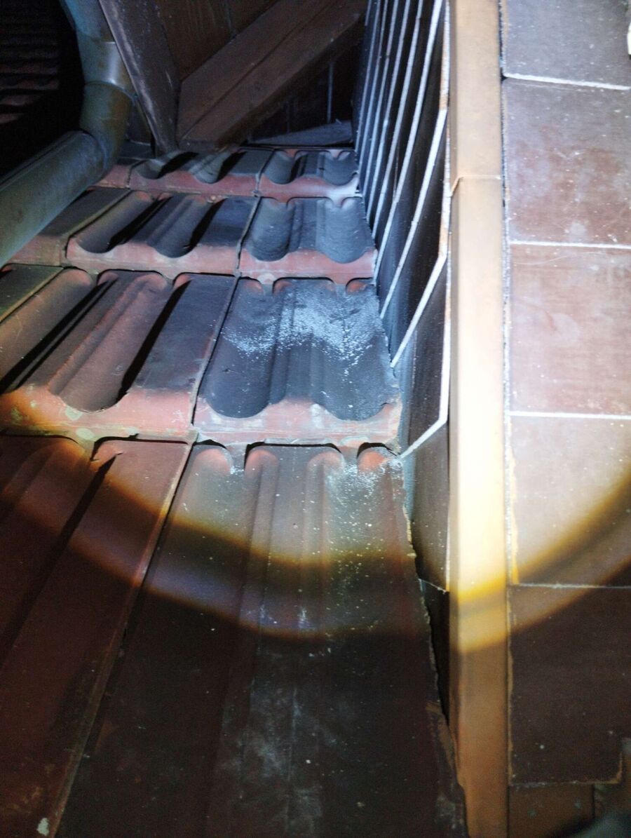 ruche abeille maison que faire