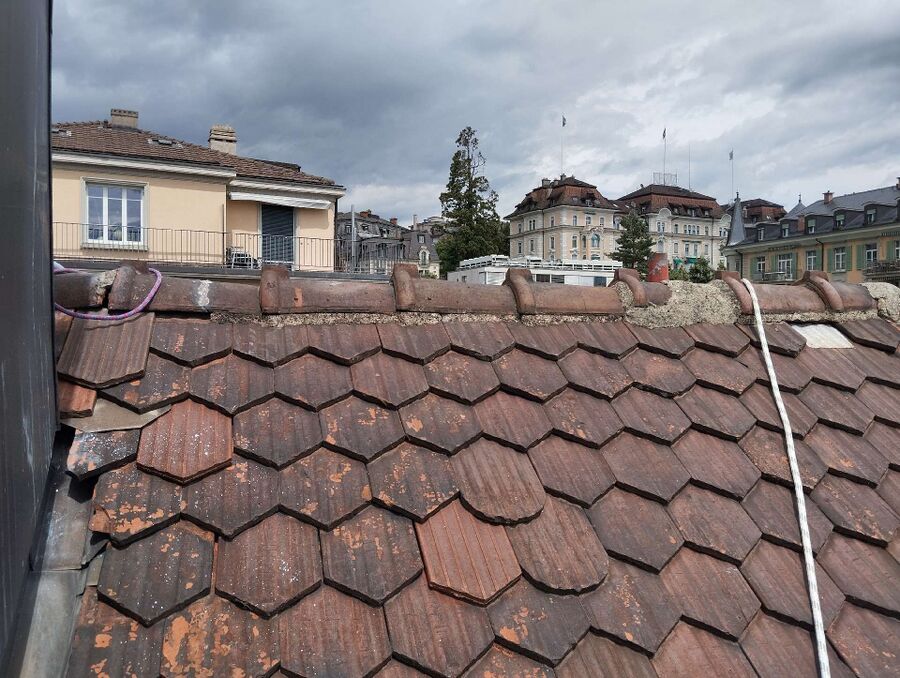 ruche abeille maison que faire