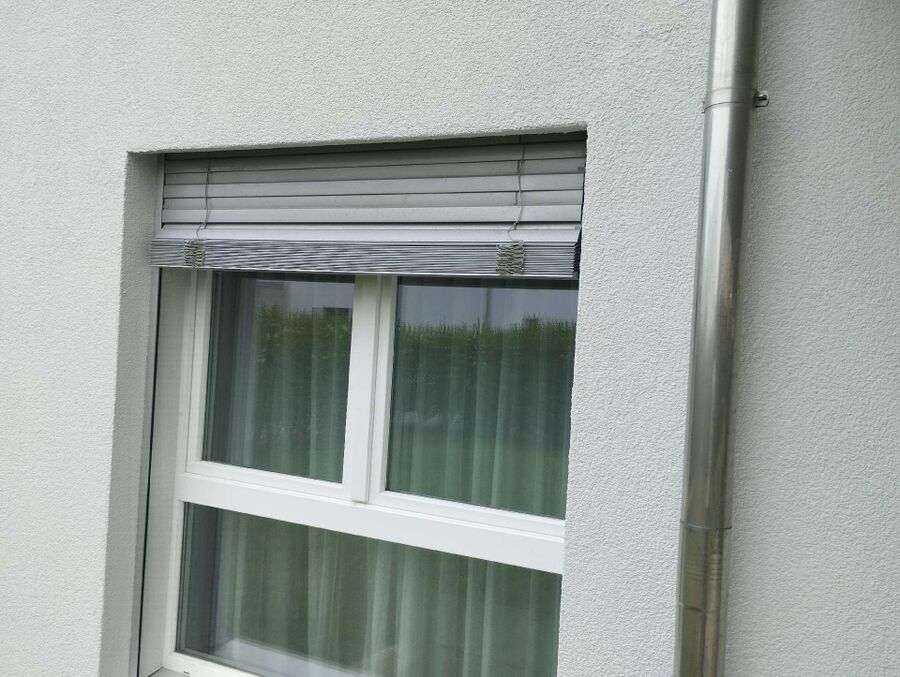 ruche abeille maison que faire