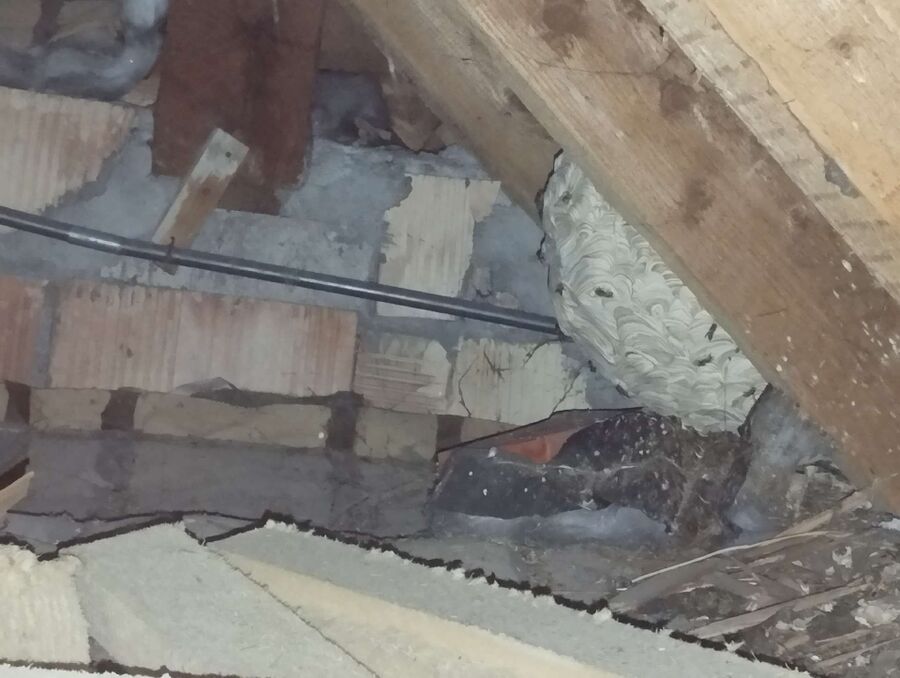 nid d abeille que faire