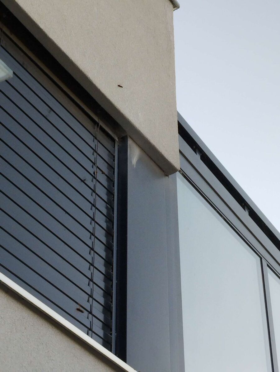 essaim d abeille enlevement