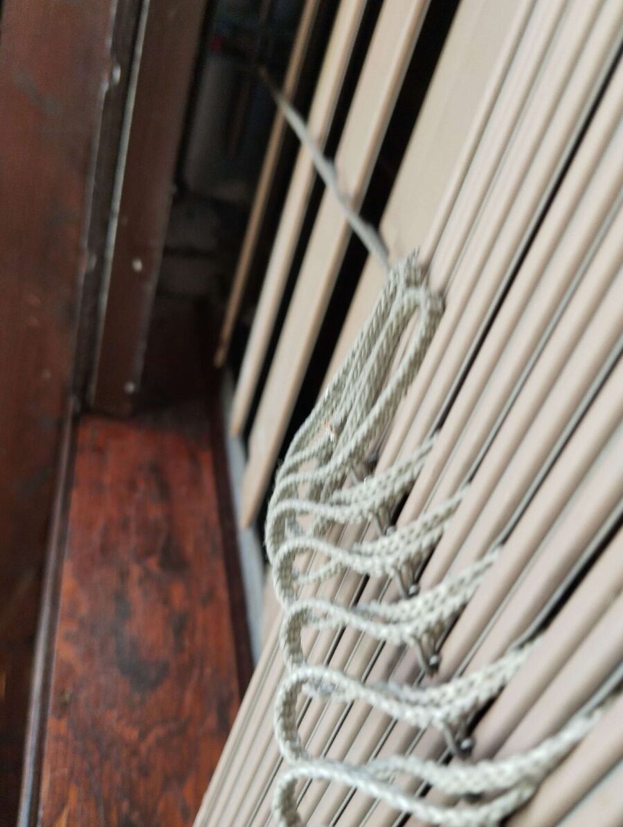 essaim d abeille enlevement