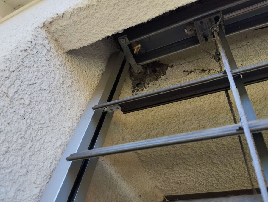 nid d abeille que faire