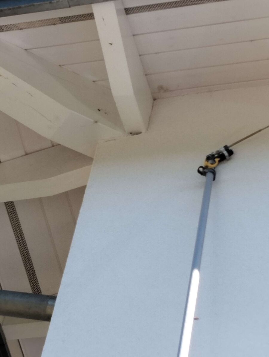 essaim d abeille enlevement