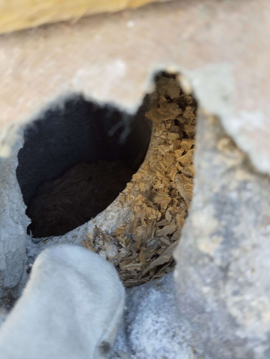 nid d abeille que faire