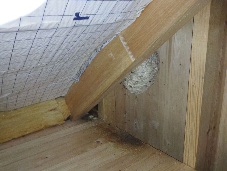 enlever un nid d abeille