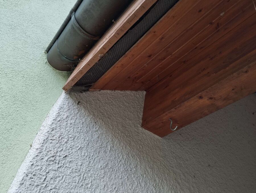 essaim d abeille enlevement