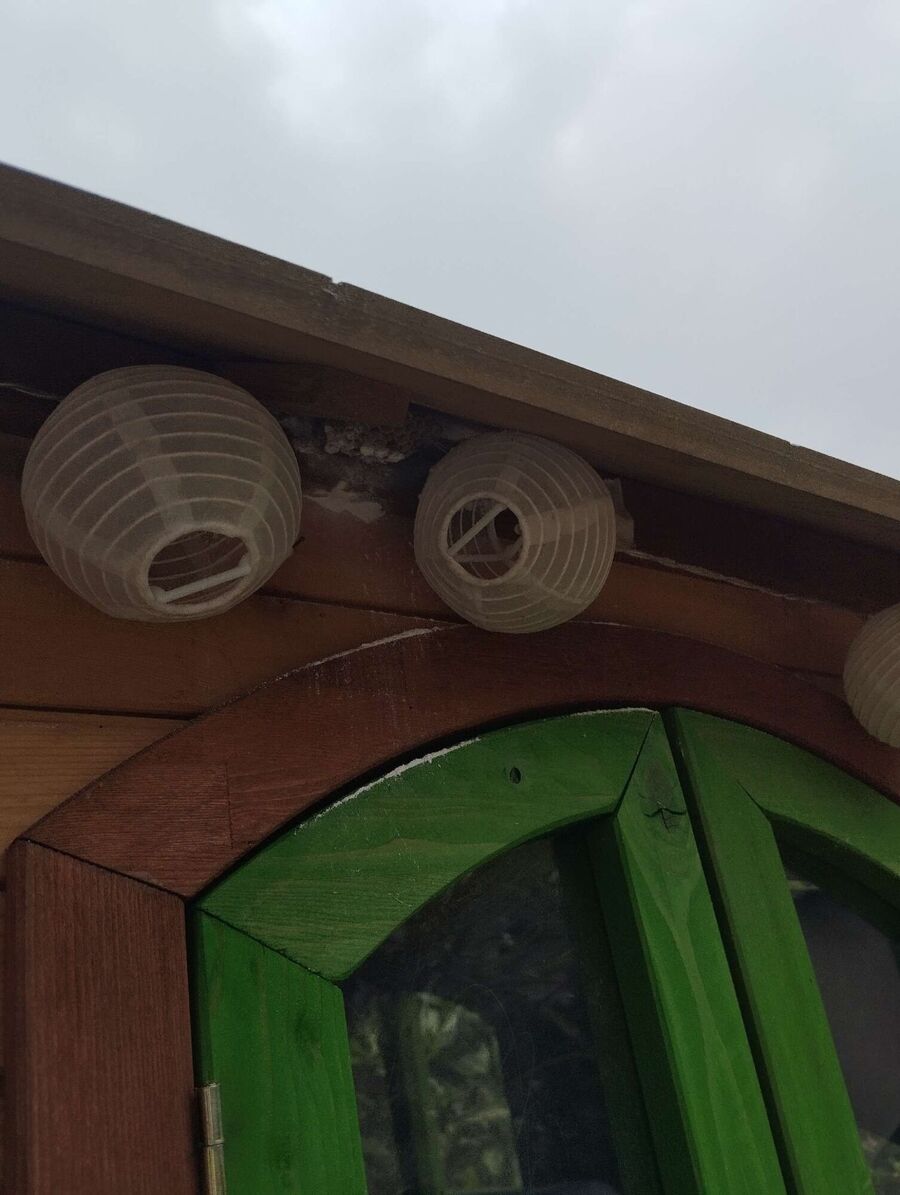 enlever un nid d abeille