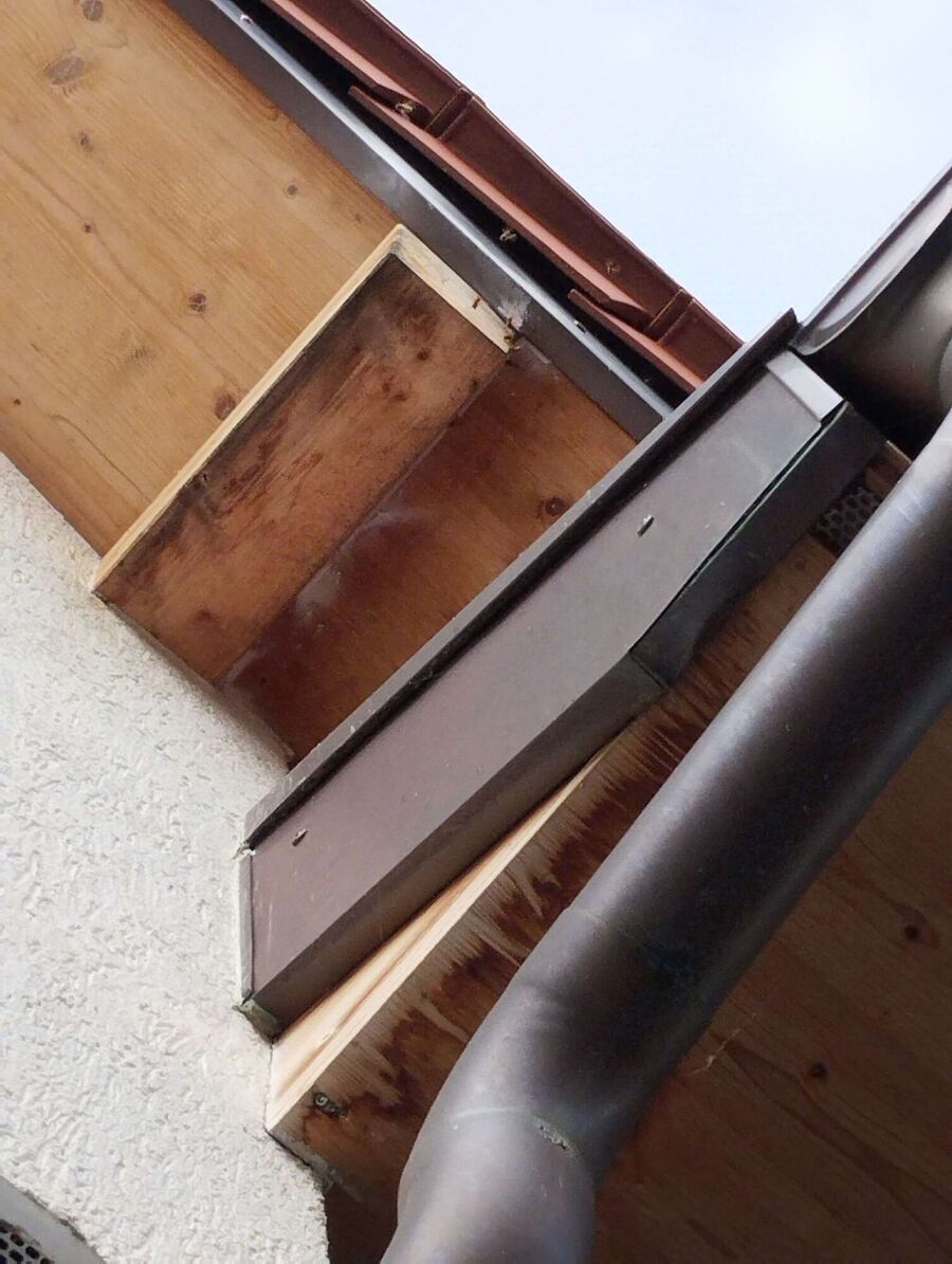 ruche abeille maison que faire