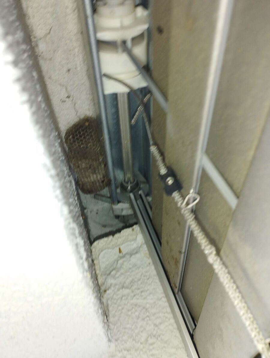 essaim d abeille enlevement