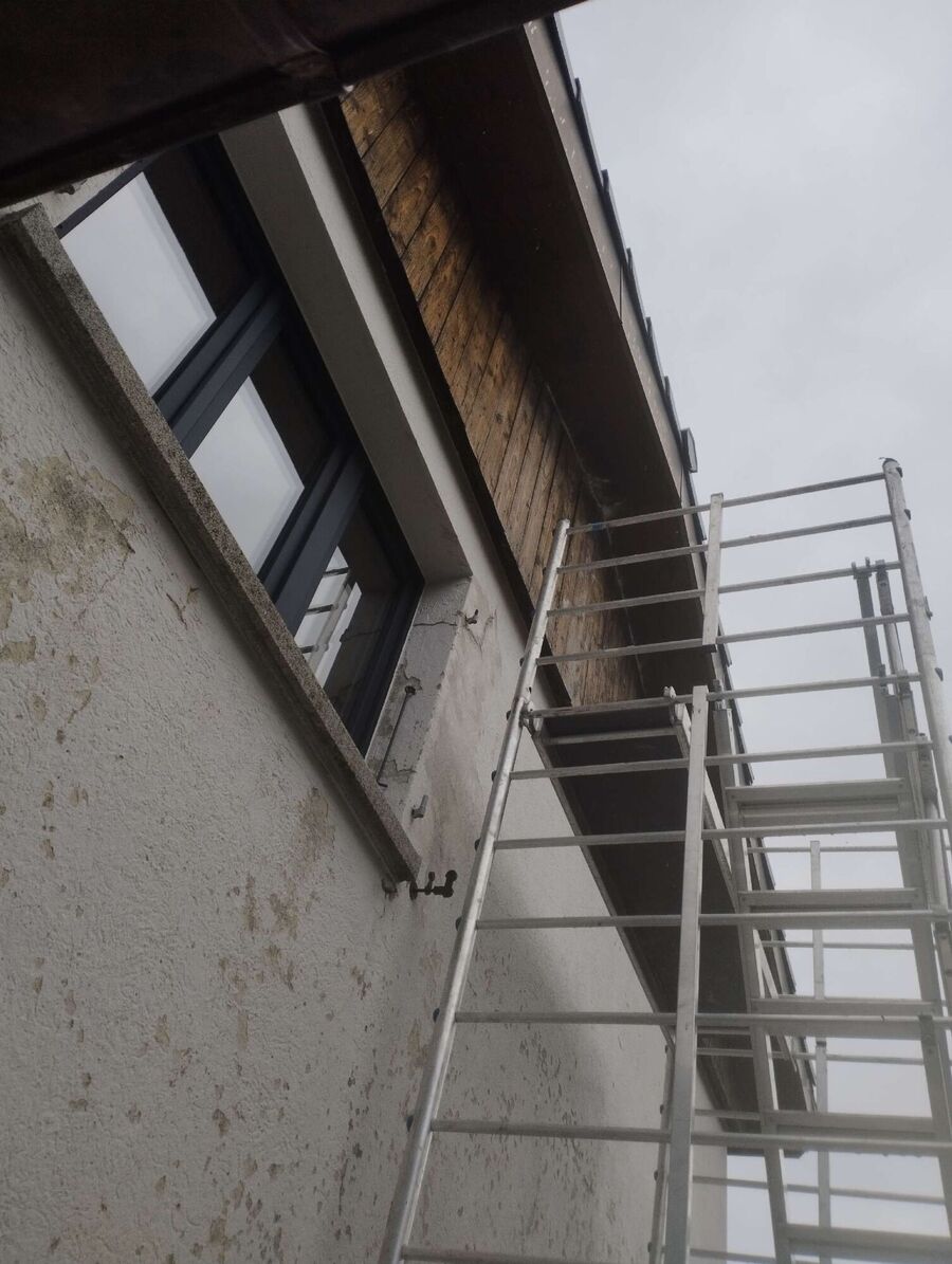 enlever un nid d abeille