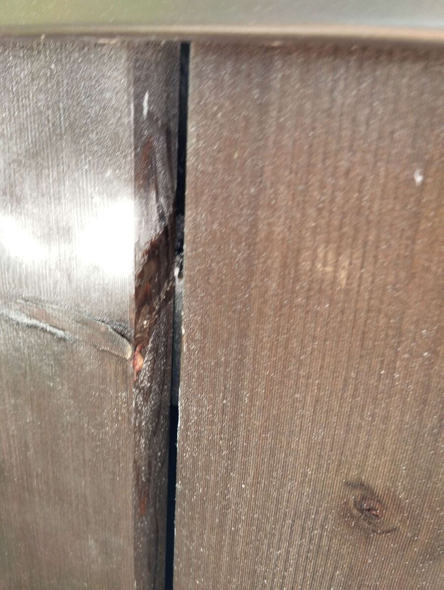 ruche abeille maison que faire