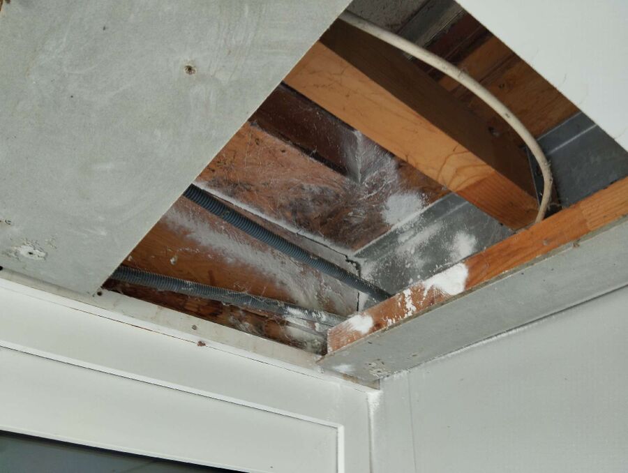 enlever un nid d abeille