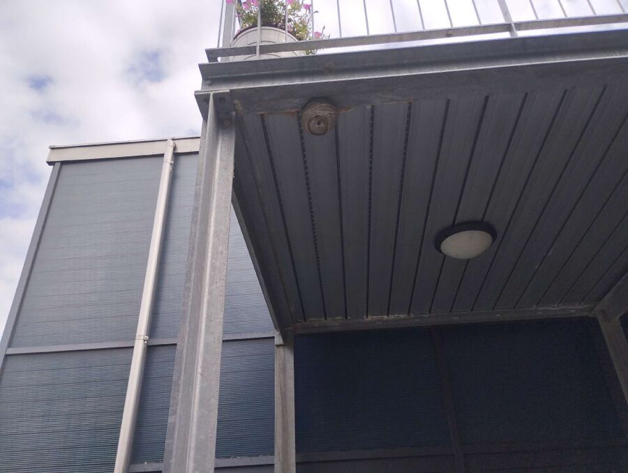 ruche abeille maison que faire