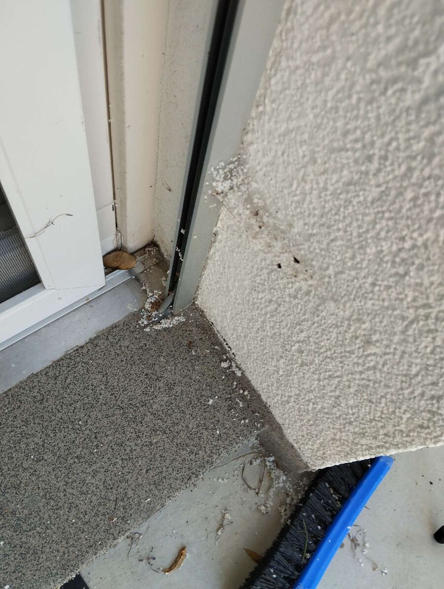 nid d abeille que faire