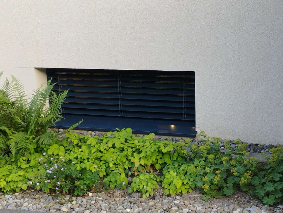 ruche abeille maison que faire