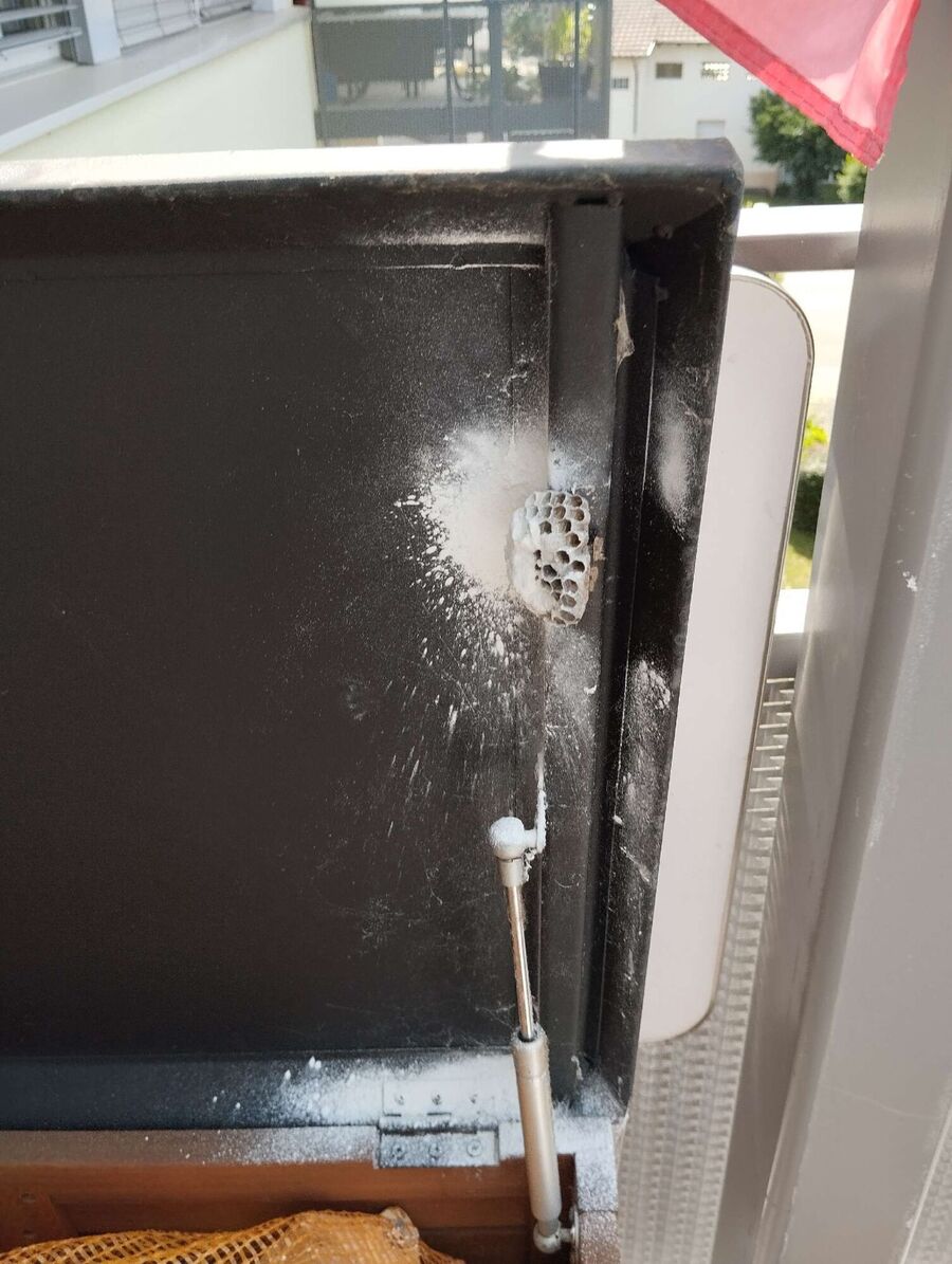 nid d abeille que faire