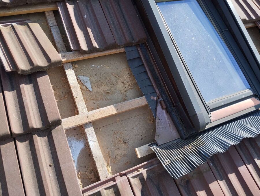 ruche abeille maison que faire