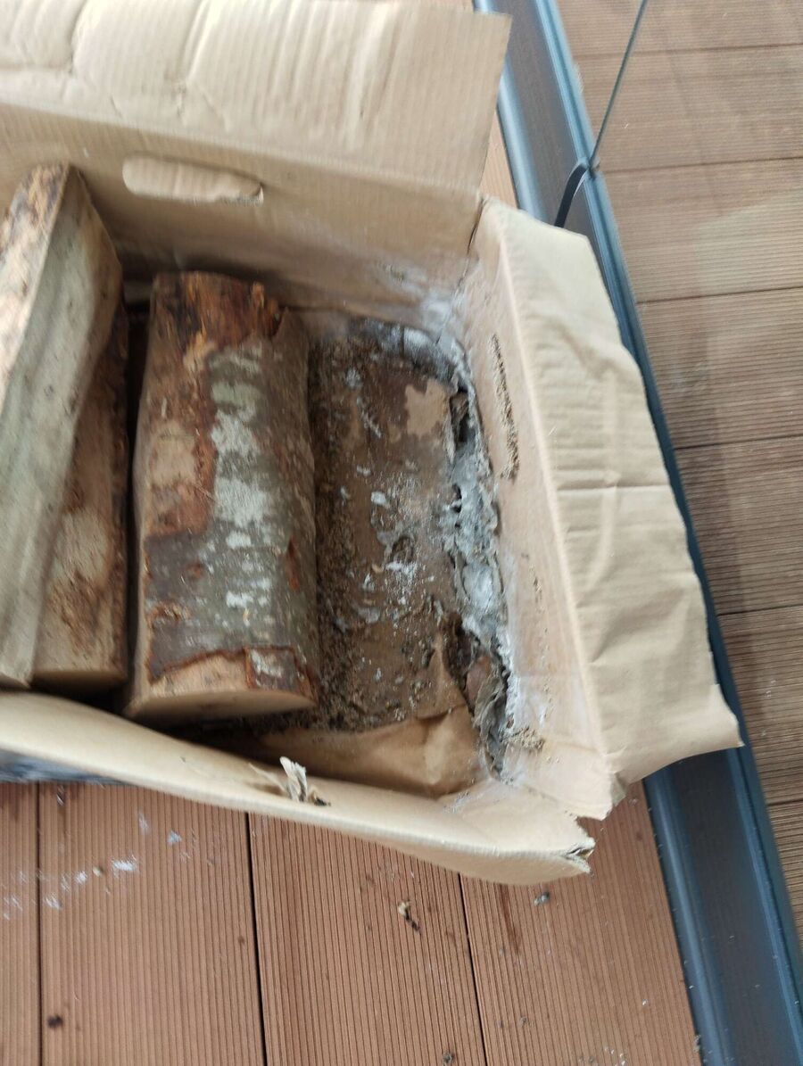 enlever un nid d abeille