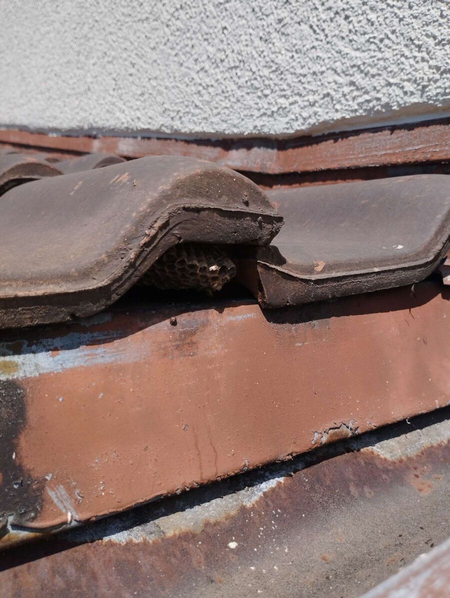 enlever un nid d abeille