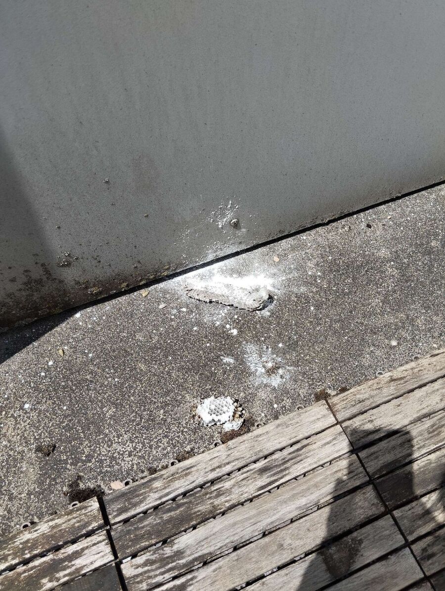 nid d abeille que faire