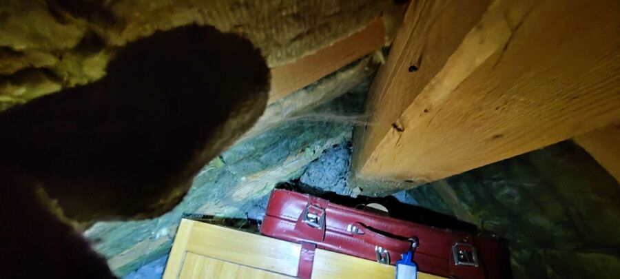 nid d abeille que faire