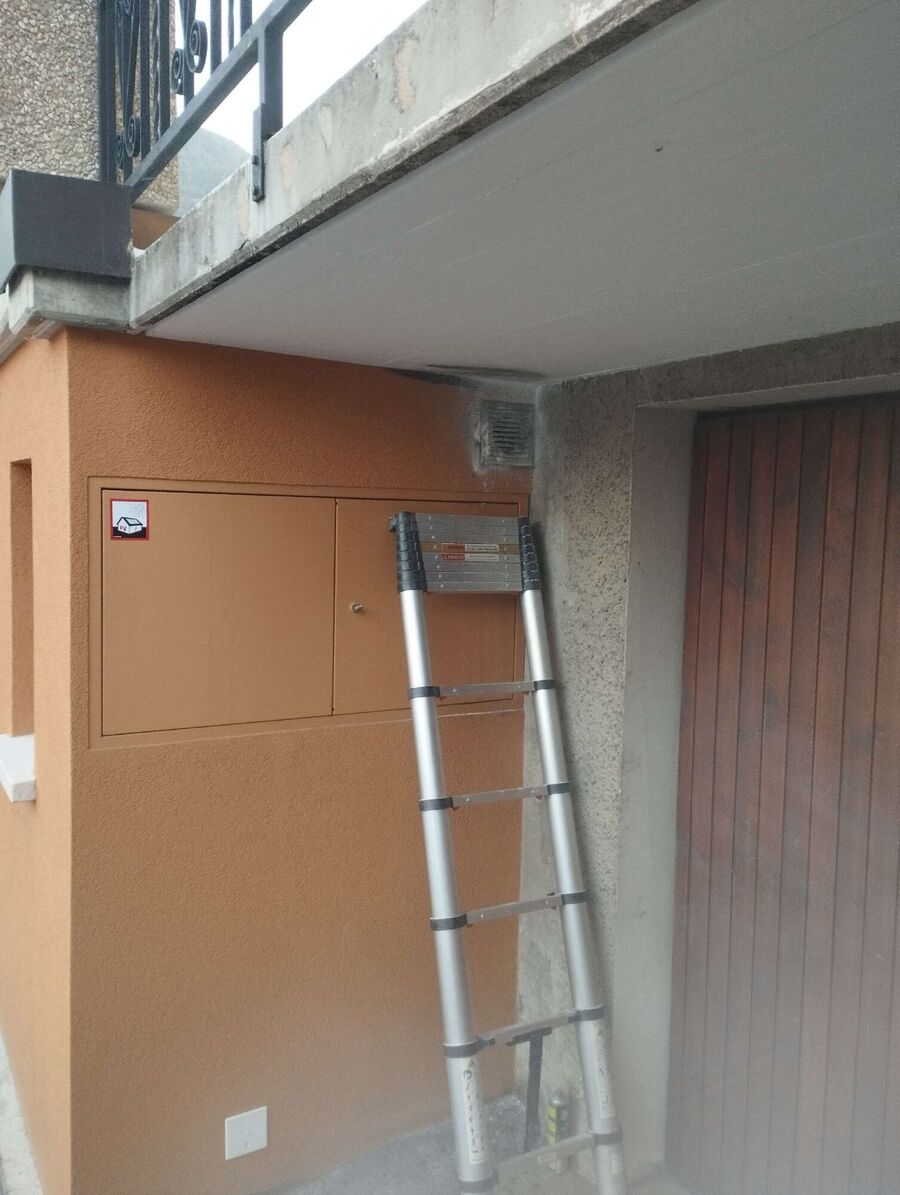 essaim d abeille enlevement