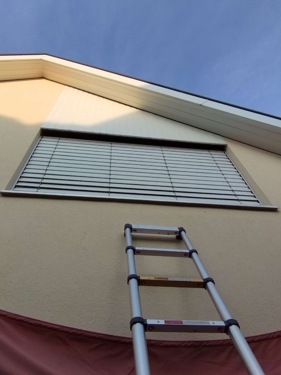 ruche abeille maison que faire