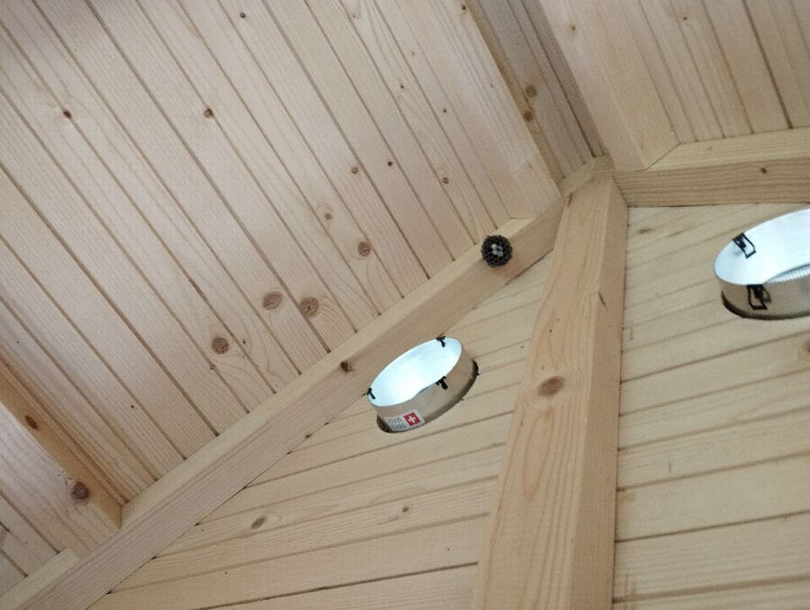 ruche abeille maison que faire