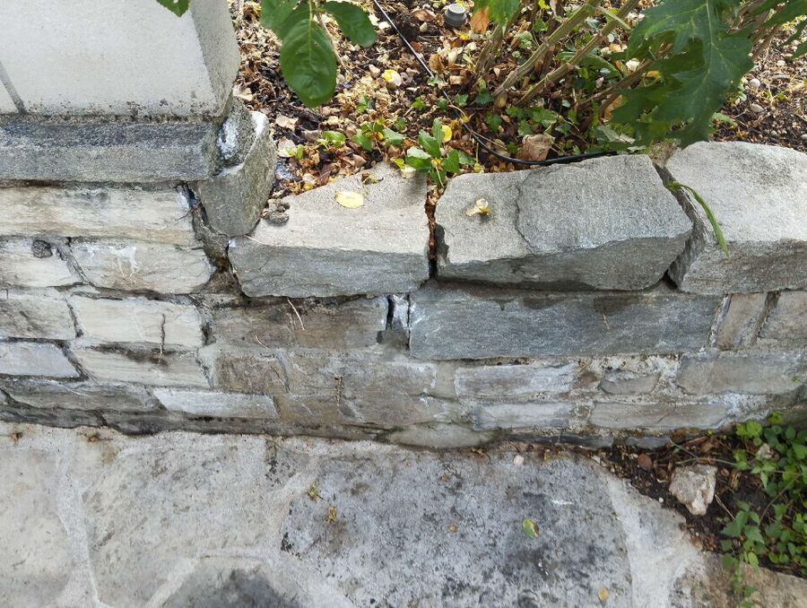 essaim d abeille enlevement