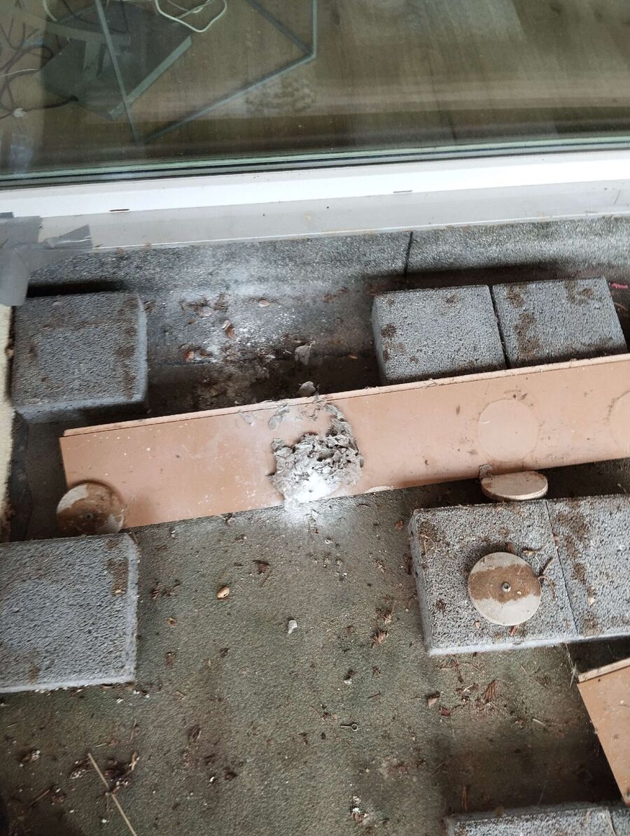 nid d abeille que faire