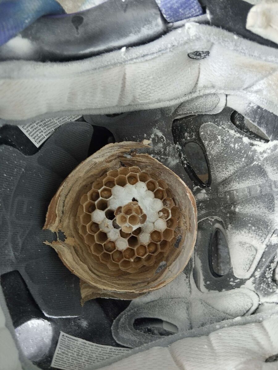 enlever un nid d abeille