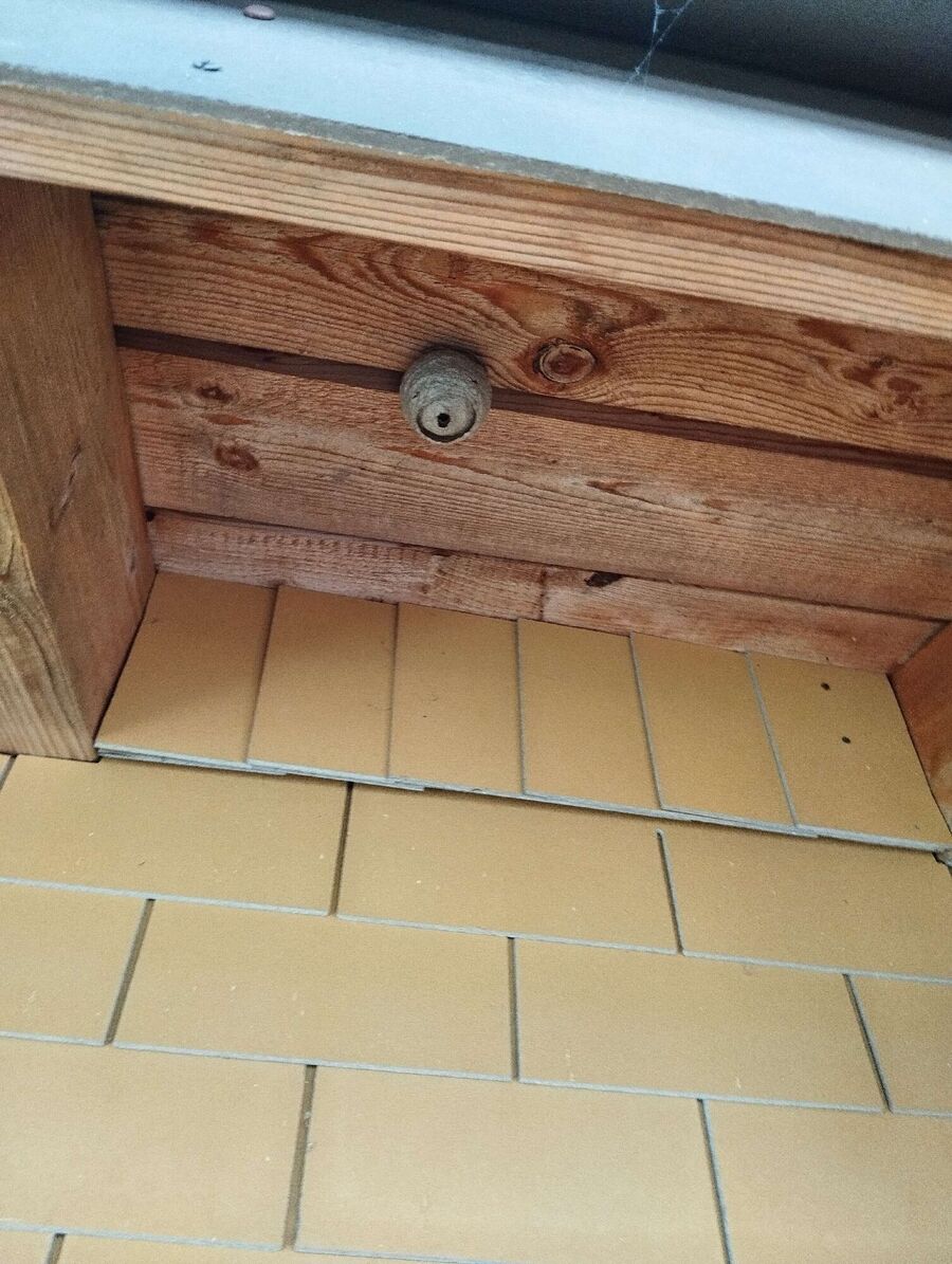 enlever un nid d abeille