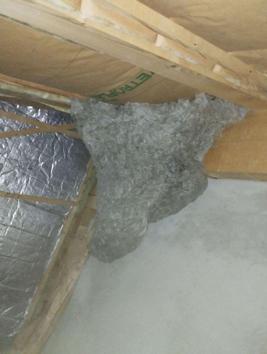 ruche abeille maison que faire