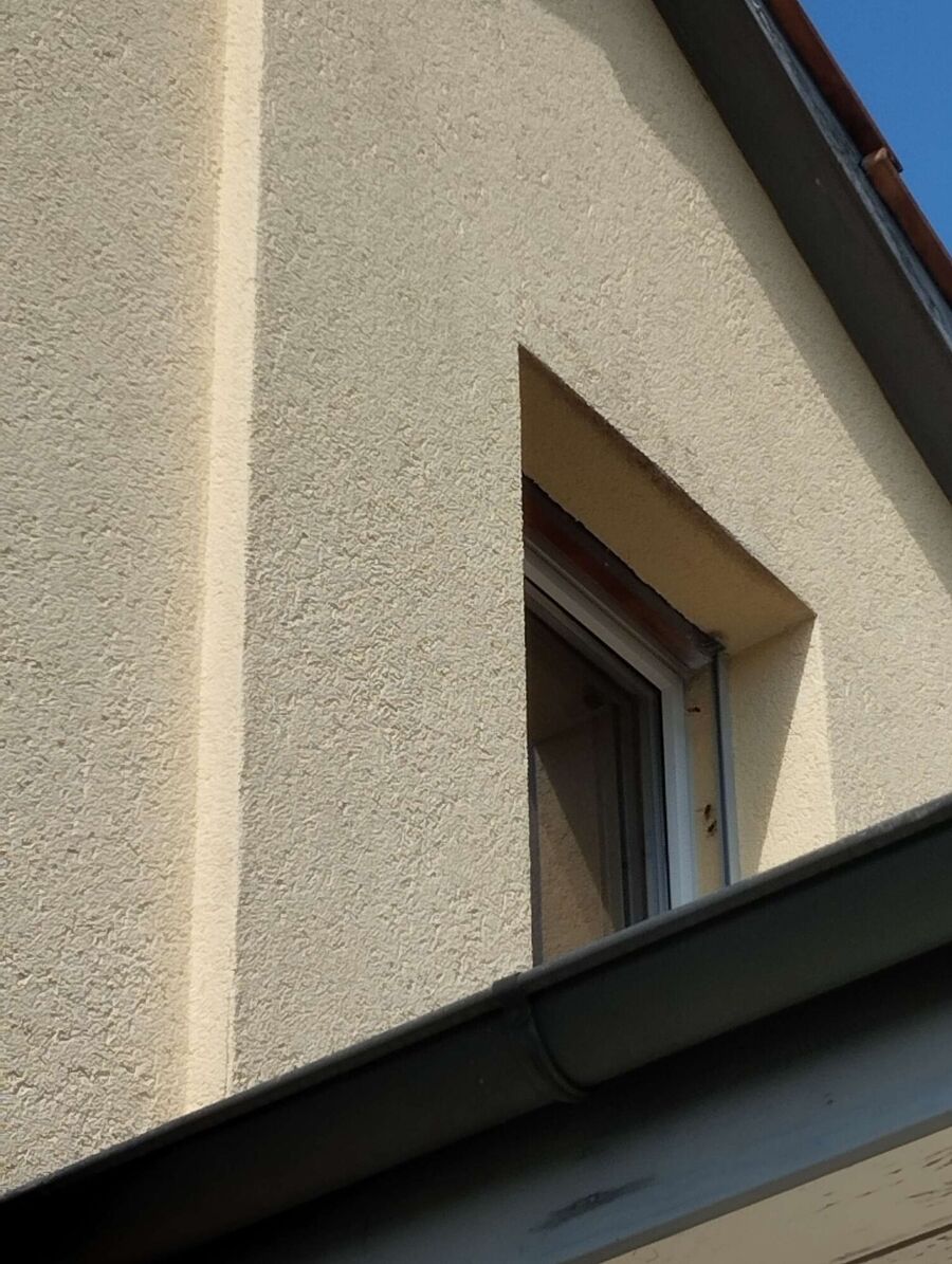 enlever un nid d abeille