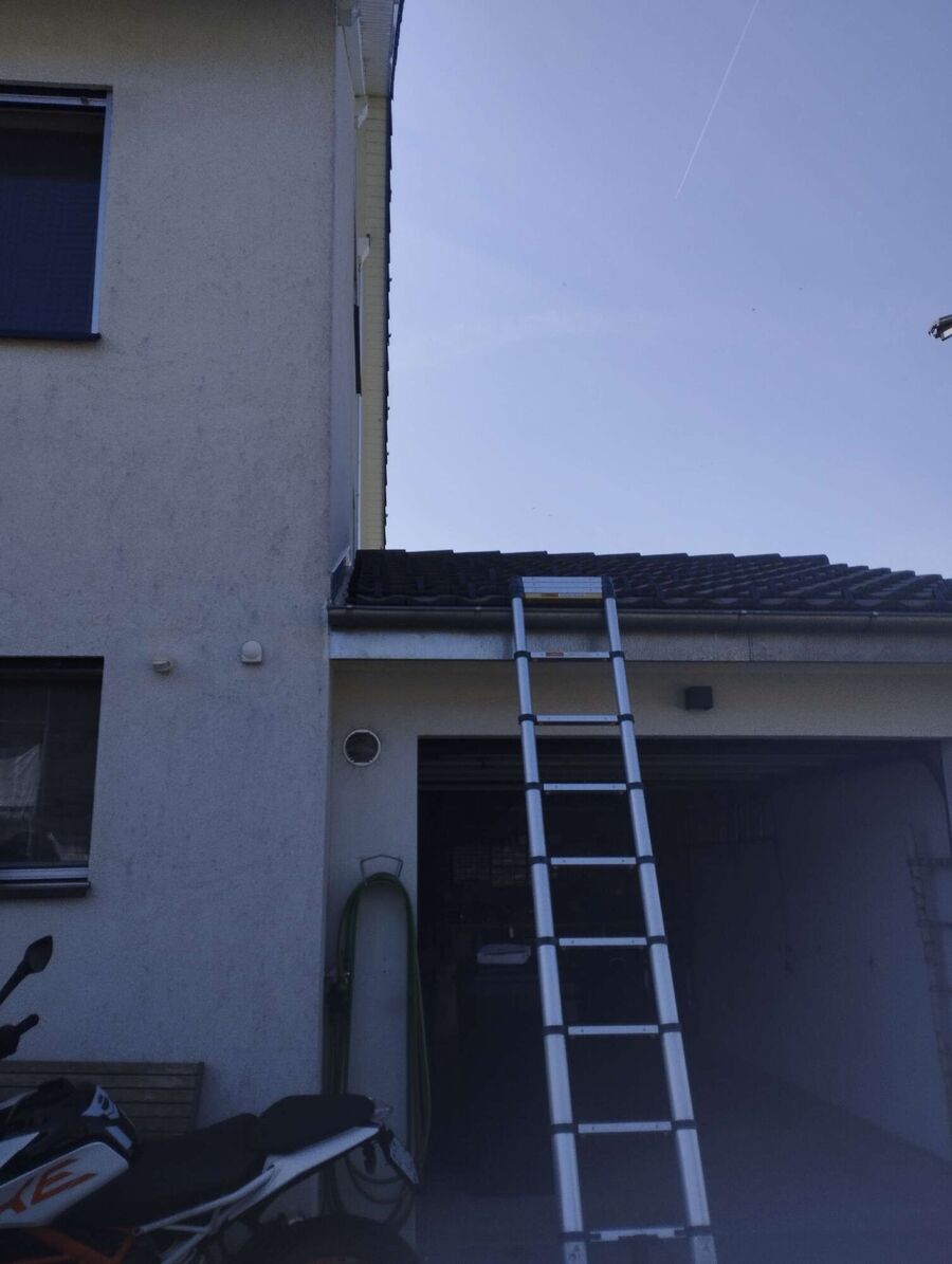 essaim d abeille enlevement