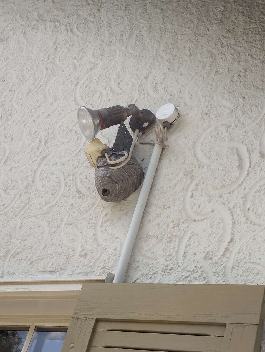 enlever un nid d abeille