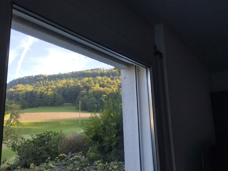 nid d abeille que faire