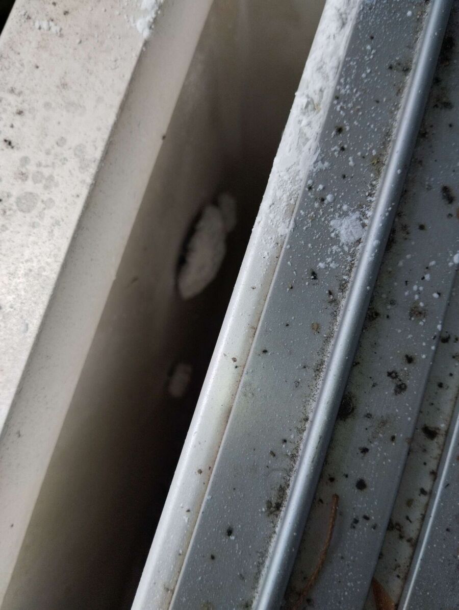 ruche abeille maison que faire